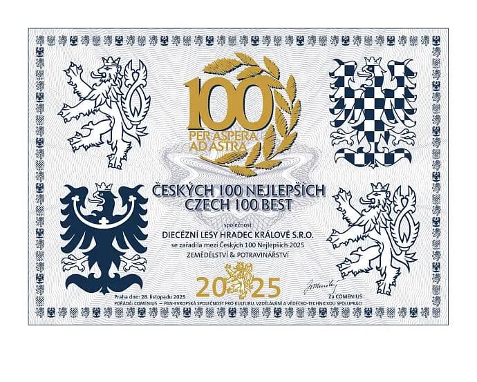 Diecézní lesy Hradec Králové mezi stovkou nejúspěšnějších firem