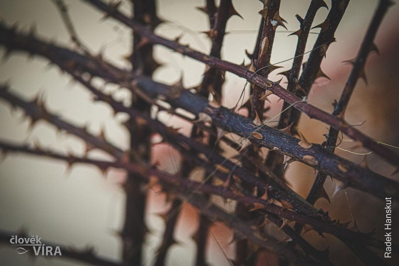 Arcibiskup Nuzík bude opět naslouchat obětem zneužívání