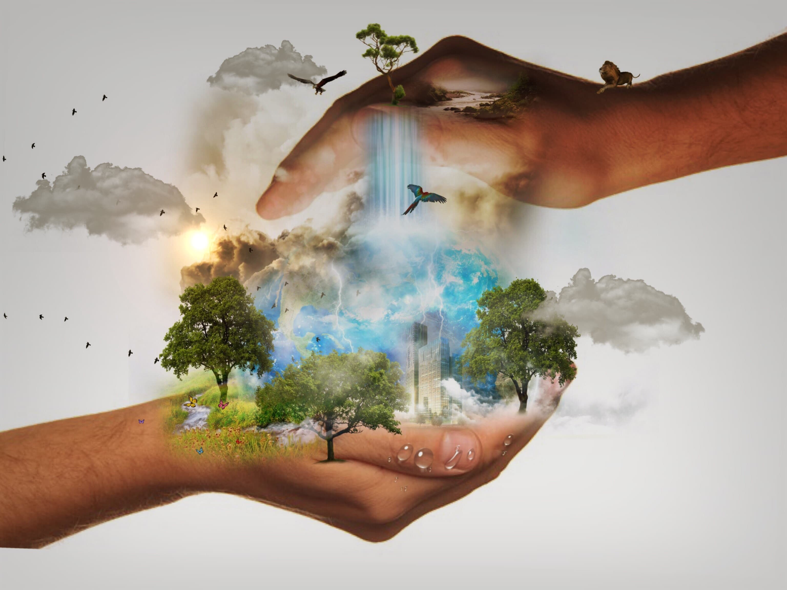 Při péči o planetu jsou potřeba talenty všech. Staň se Laudato Si‘ animátorem